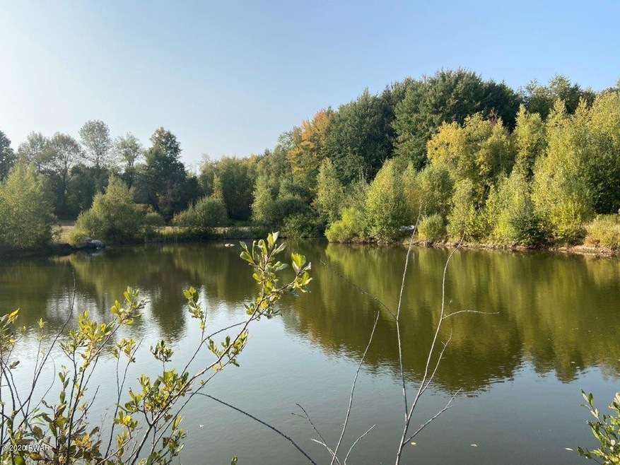 489 Saint Tikhons Rd, Waymart, PA 18472 - photo 1