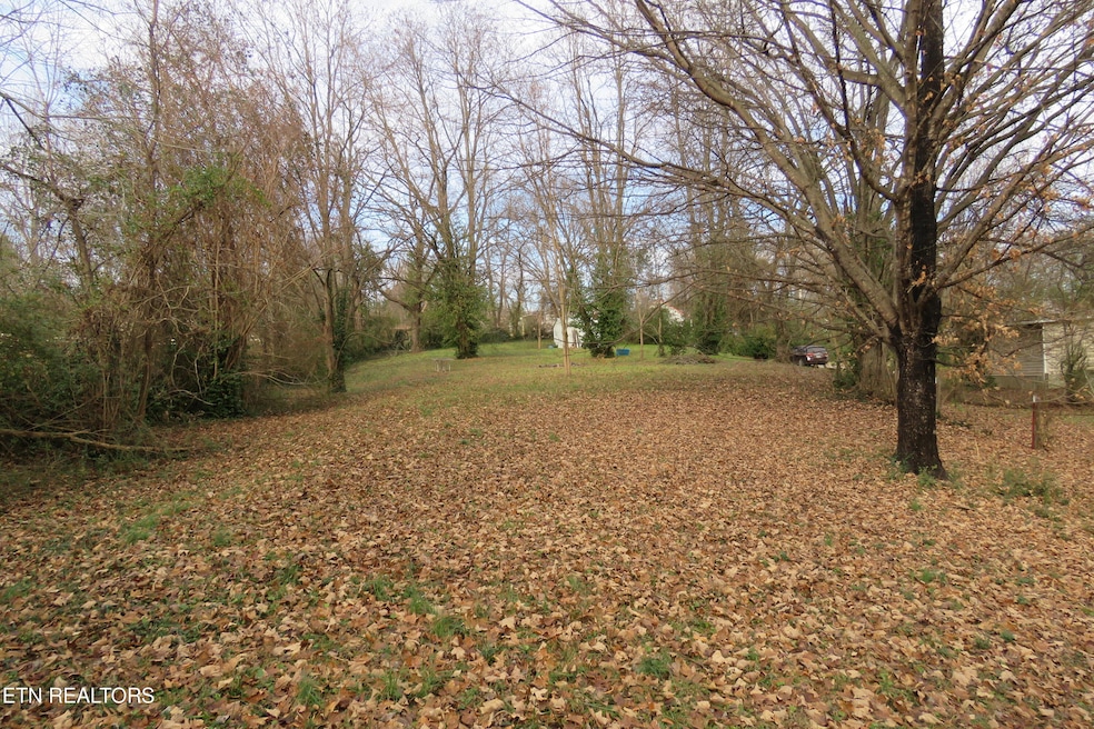 218 Celina St, Livingston, TN 38570 - photo 1