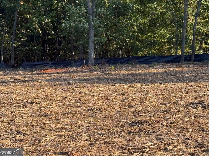 3980 Highway 5, Douglasville, GA 30135 - photo 1