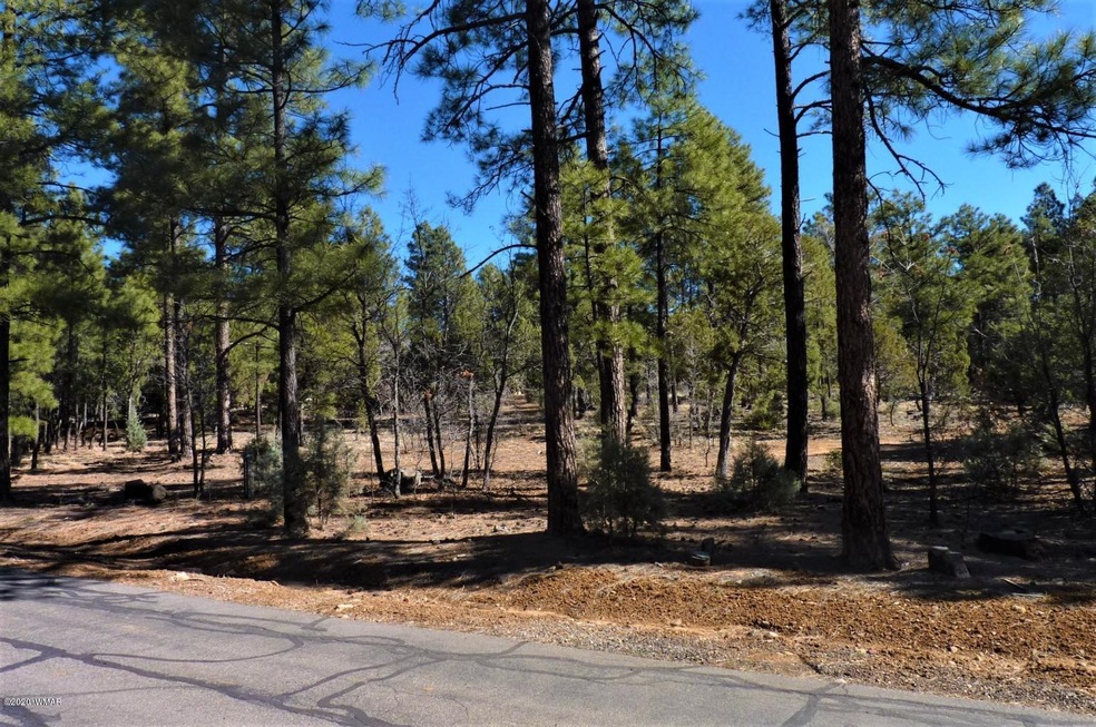 Beautiful Flat Pines Lot In Torreon