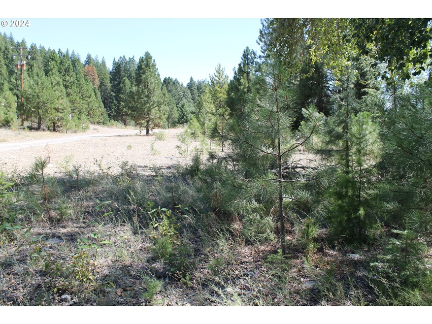 0 Oak St unit 24356227, Sumpter, OR 97877 - photo 1