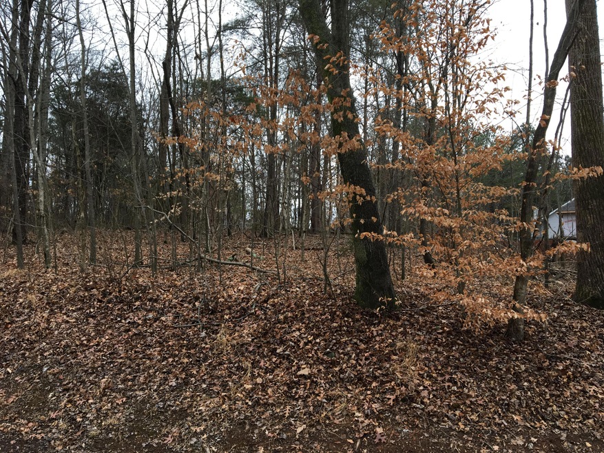 205 Dudala Way, Loudon, TN 37774 - photo 1