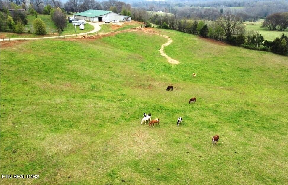 Welcome to Iron Hide Ranch