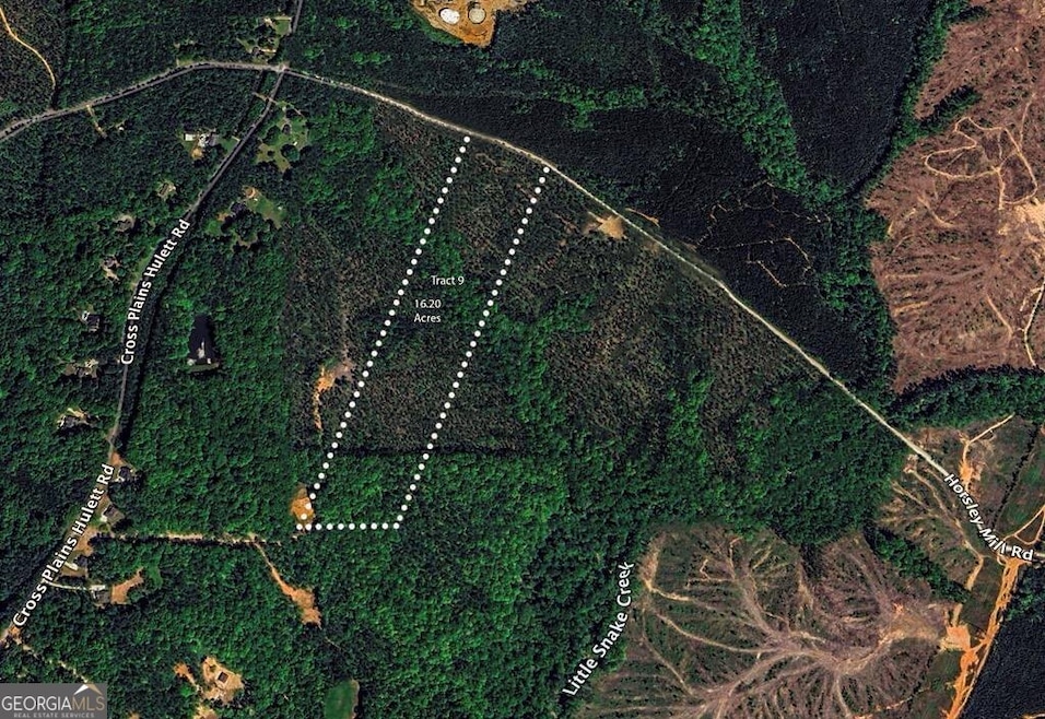 TRACT 9 Horsley Mill Rd, Carrollton, GA 30116 - photo 1