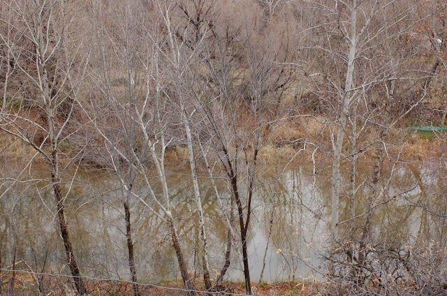 Borders Beaver Creek