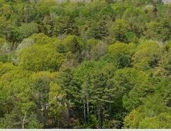 0 Littlejohn Rd, Yarmouth, ME 04096 - photo 1