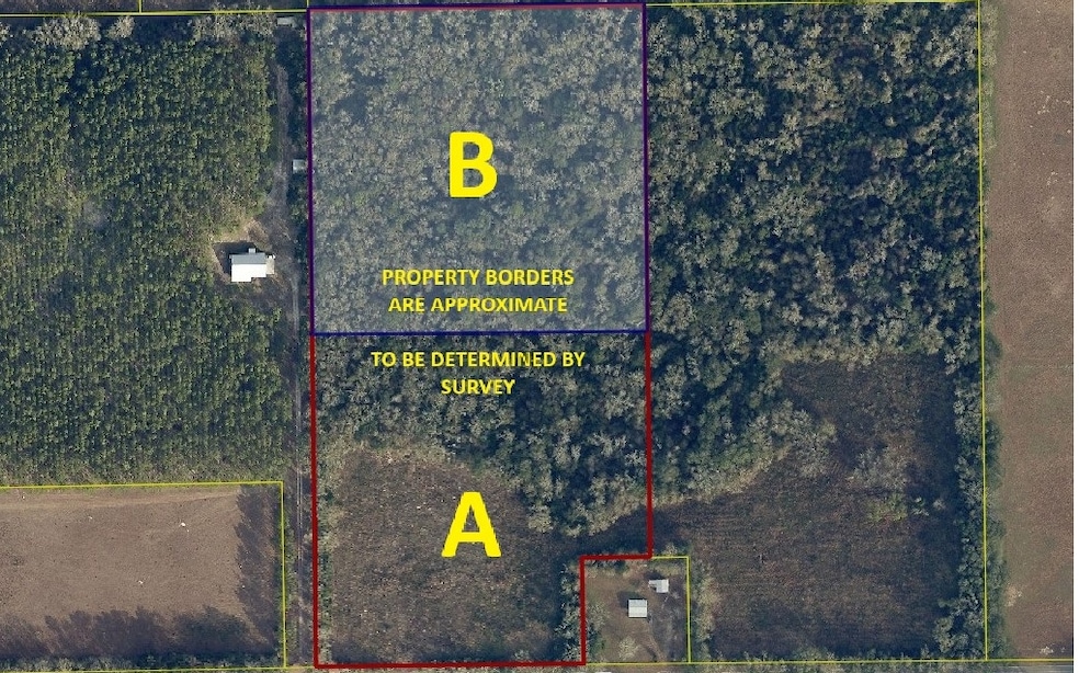 TBD, Live Oak, FL 32060 - photo 1
