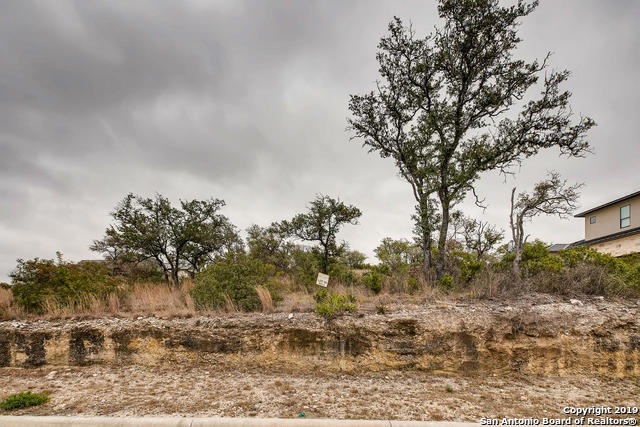 23420 Edens Canyon, San Antonio, TX 78255 - photo 1