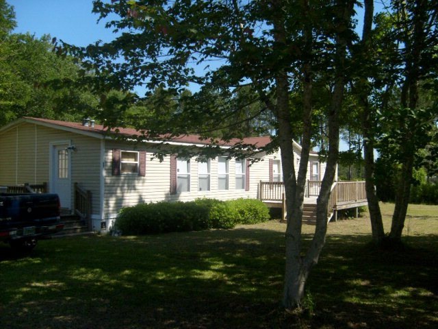 Main View