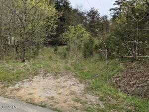 0 Lester Whitt Rd unit 248773, Rutledge, TN 37861 - photo 1