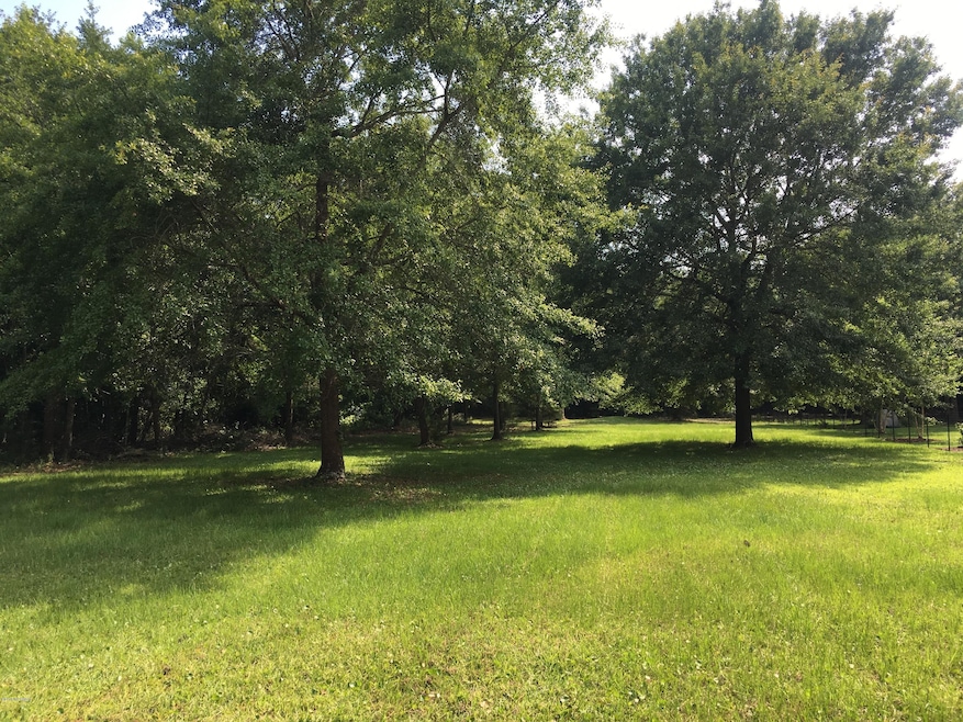 1944 Deep Creek Run, Wilmington, NC 28411 - photo 1