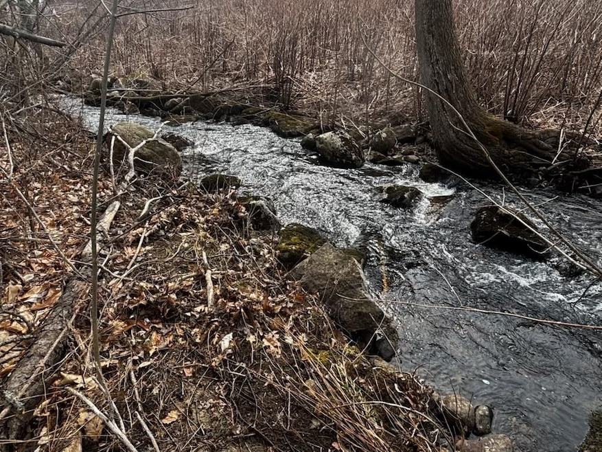 Sold $10,000 • Co-Listing Agent