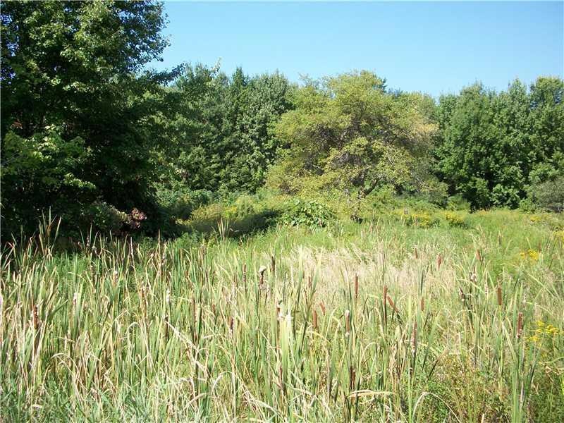 Land/Lot.