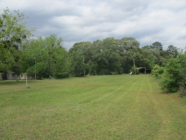 LOT 70 Woodpecker Rd, Baconton, GA 31716 - photo 1