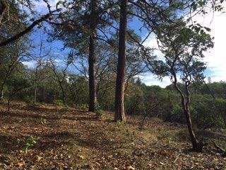 0 S Vannoy Creek Rd, Grants Pass, OR 97526 - photo 1