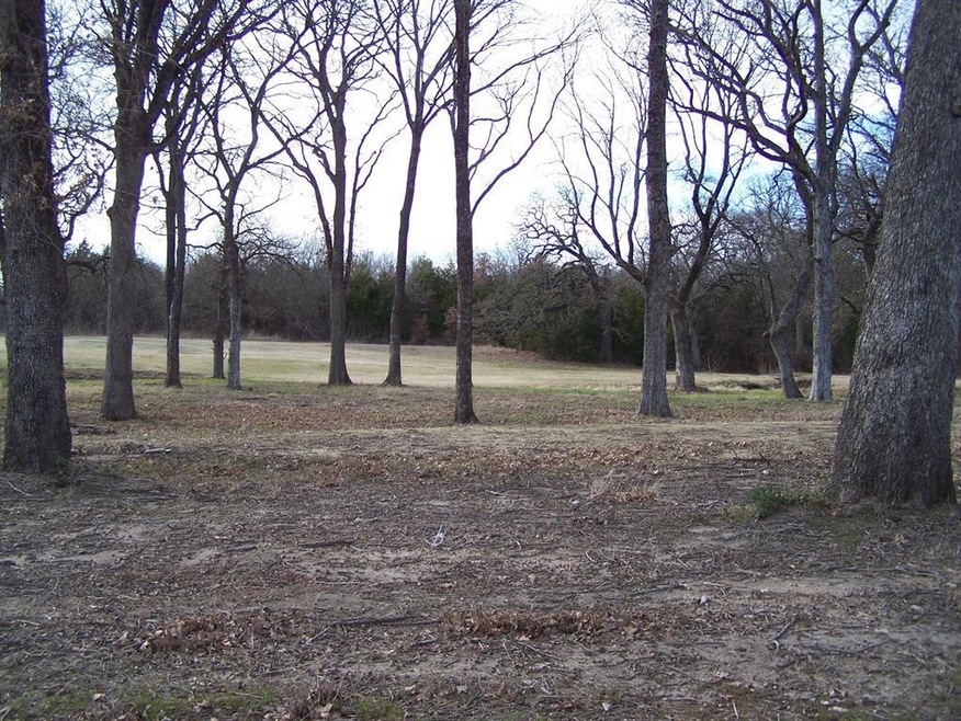 201 Bent Oak Dr, Pottsboro, TX 75076 - photo 1