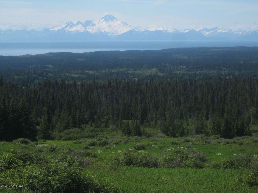 Mt. Redoubt