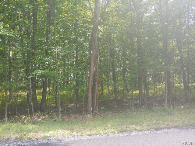 9 Lake In the Clouds, Barrett Township, PA 18325 - photo 1