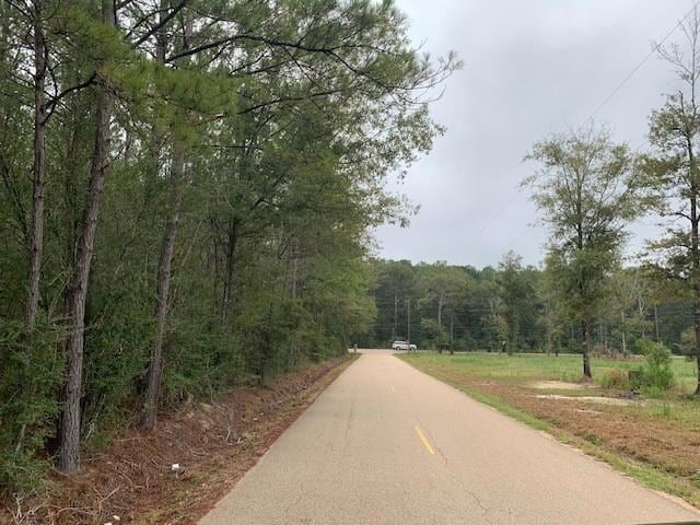 C-2 Louisiana 445, Robert, LA 70455 - photo 1