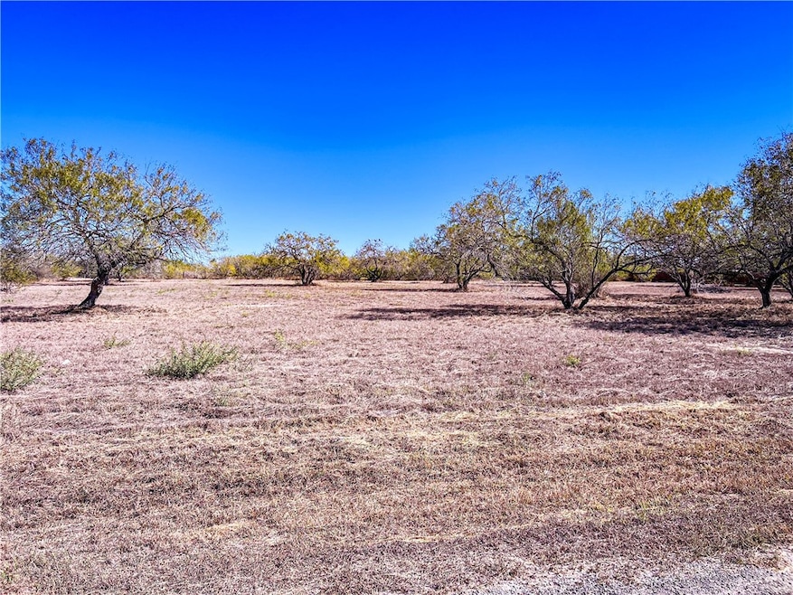 Lot 10 Fm 3376, Alice, TX 78332 - photo 1