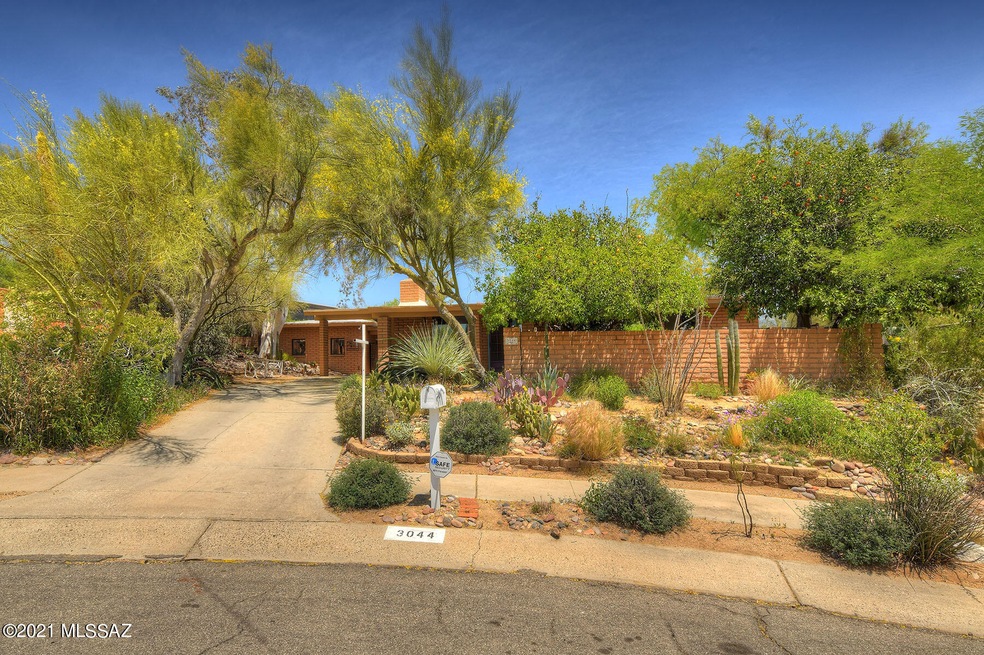 Harlow Garden's Designed Oasis!