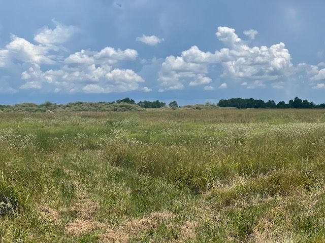 11403 Fm 1994 Rd, Guy, TX 77444 - photo 1