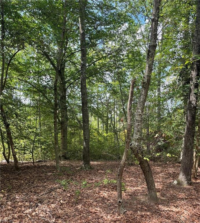 Lot 12 Dragon Run Rd, King & Queen, VA 23091 MLS 10511046