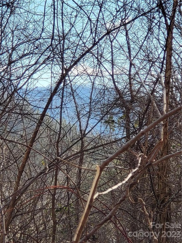 1139 Fisher Branch Rd, Marshall, NC 28753 MLS CAR4091681