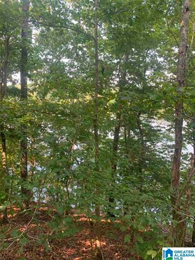 130 Mohawk Ct Unit 1, Ohatchee, AL 36271 MLS 1344711