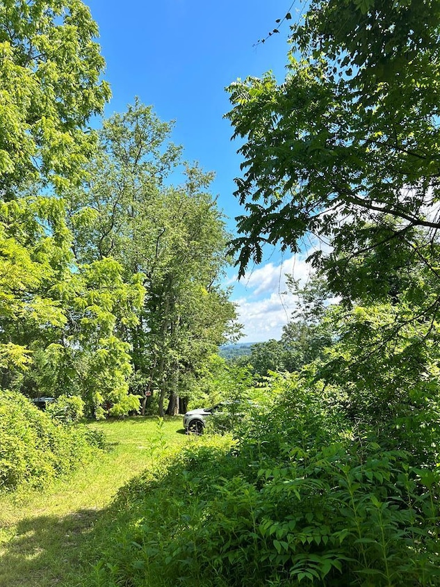 188 Mount Carmel Dr, Ivanhoe, VA 24350 MLS 87680