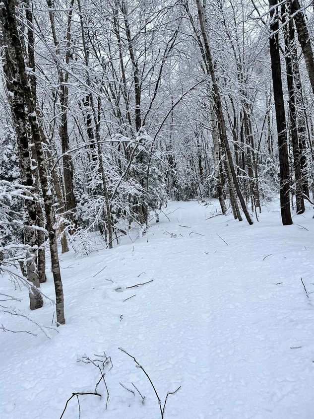 Map 213 Lot 36 Locke Ln, Lempster, NH 03605 MLS 4984793