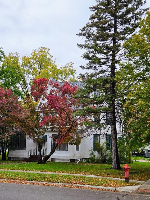 1402 Broadway, Wheaton, MN 56296 MLS NST6494684