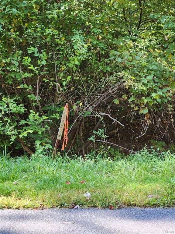 7233 & 7236 Farnham Rd, Lysander, NY 13112 MLS S1507086