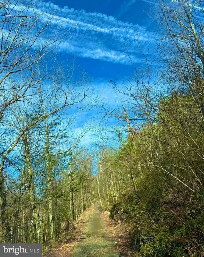 0 Jordan Run Rd Unit WVGT2000748, Maysville, WV 26833 MLS