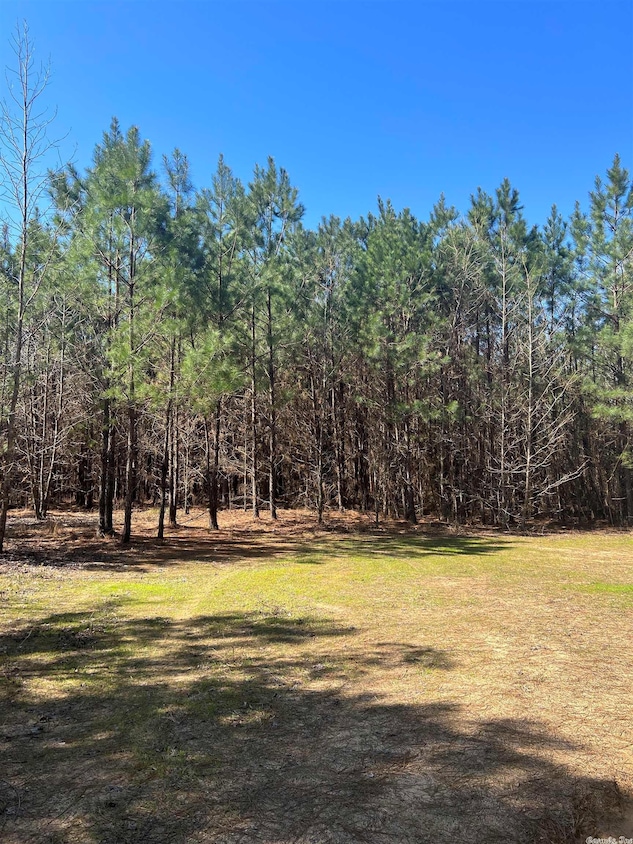 00 Nevada County 175 Rd, Rosston, AR 71858 MLS 22009014