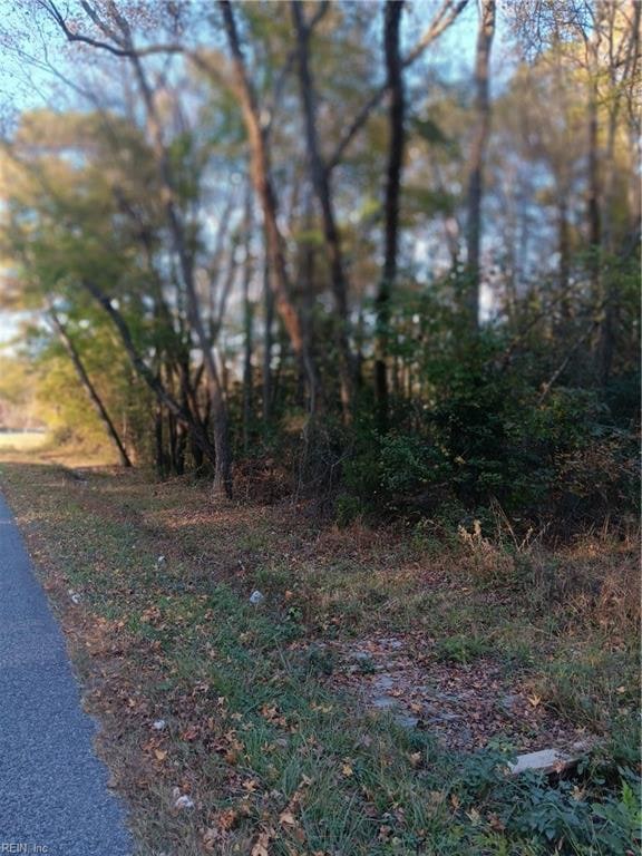 5 AC Blackhead Signpost Rd, Courtland, VA 23837 MLS 10509089