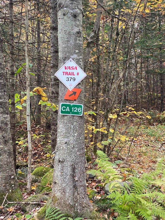 450 Cutting Rd, Concord, VT 05824 MLS 4971921