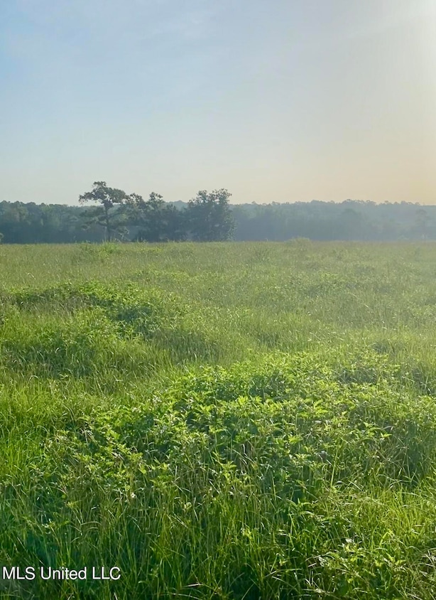 115 Pump Branch Rd, Wiggins, MS 39577 MLS 4094600