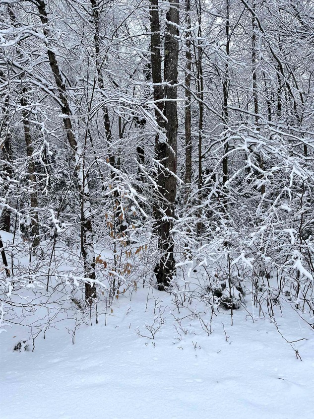 Map 213 Lot 36 Locke Ln, Lempster, NH 03605 MLS 4984793