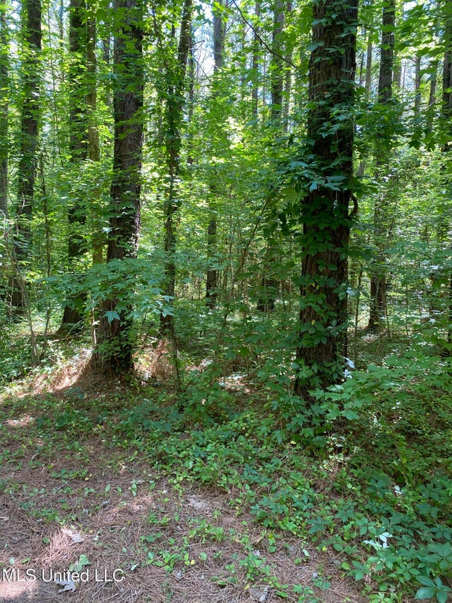 0 Franks Rd, Coldwater, MS 38618 MLS 4021230