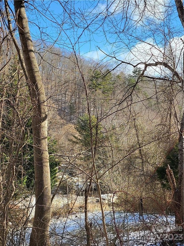 1139 Fisher Branch Rd, Marshall, NC 28753 MLS CAR4091681