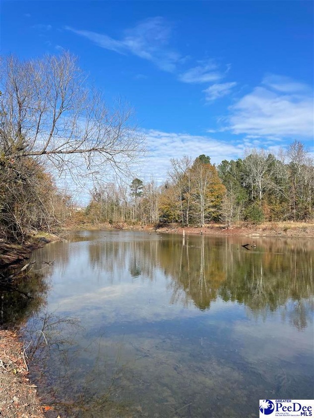 TBD Anderson Farm Rd, Darlington, SC 29532 | MLS# 20233809 | Homes.com