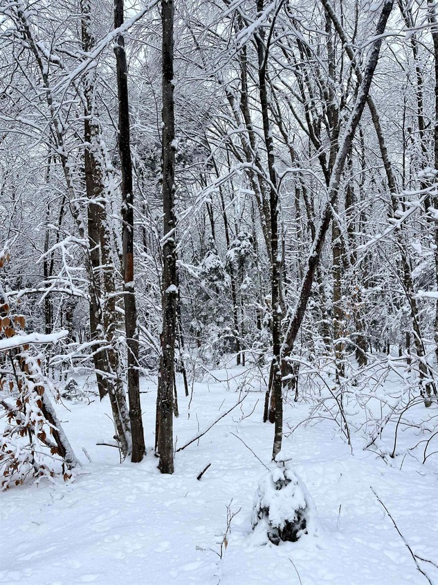 Map 213 Lot 36 Locke Ln, Lempster, NH 03605 MLS 4984793