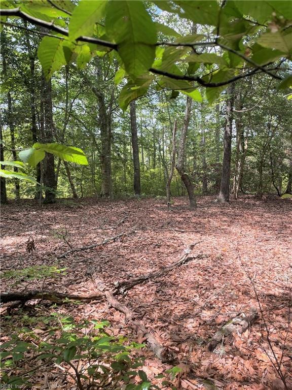 Lot 12 Dragon Run Rd, King & Queen, VA 23091 MLS 10511046