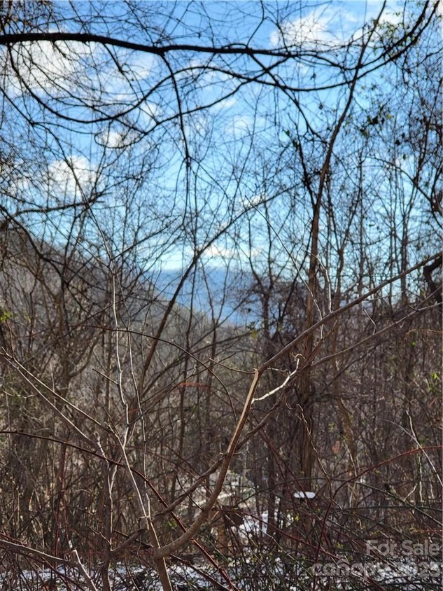 1139 Fisher Branch Rd, Marshall, NC 28753 MLS CAR4091681