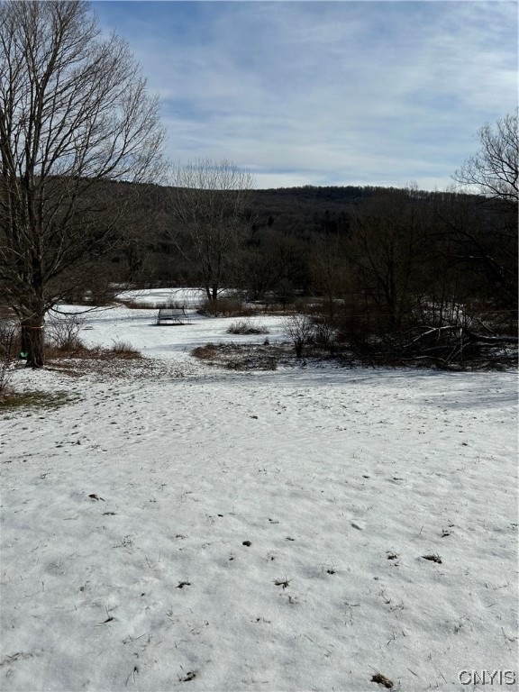 7446 Cold Brook Rd, Homer, NY 13077 MLS S1521842