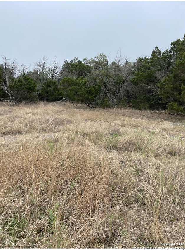 26918 Rocky Rim, Ramble Ridge Ranch, TX 78266 MLS 1737348