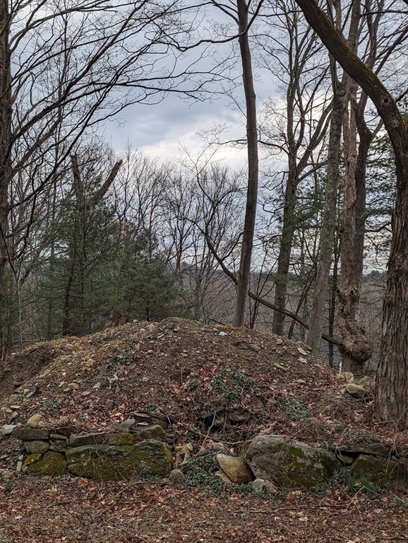 311 Crawford St, Northborough, MA 01532 MLS 73215548