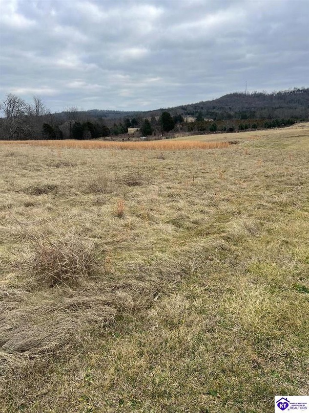 8901 Hardinsburg Rd, Cecilia, KY 42724 MLS HK24000338