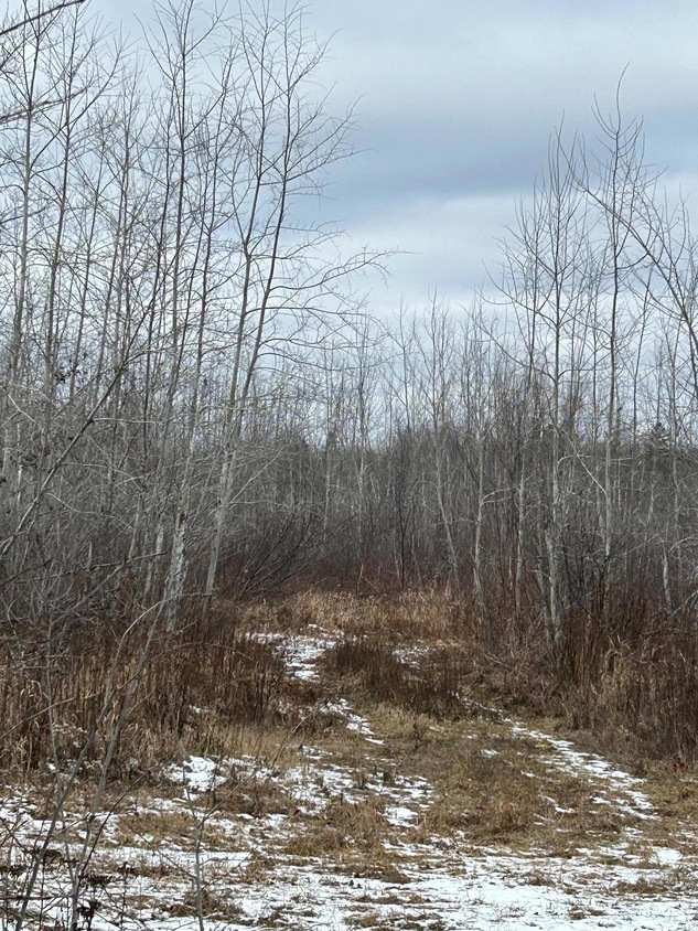 000 State Highway 23, Holyoke, MN 55749 MLS NST6488060